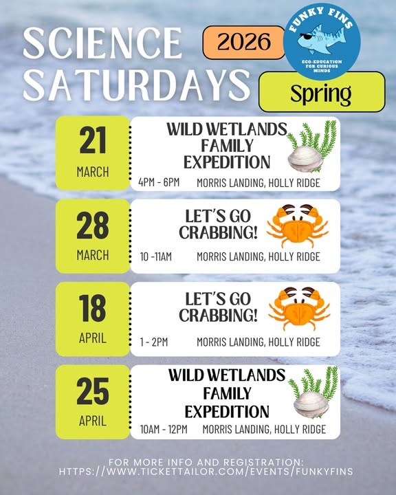 Funky Fins spring classes